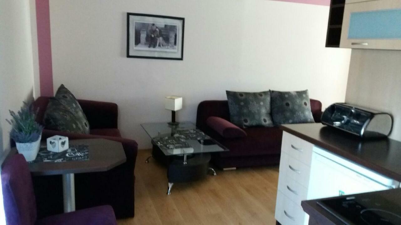 Pensjonat Plazowa 14 로비 외부 사진